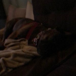 Meet your Posher, Kelli